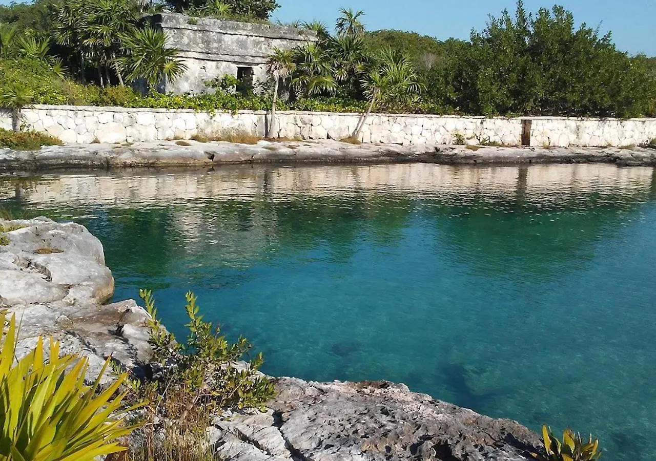 公寓 Relax, With Our Beautiful Gardens, Large Pool And Just Steps From The Beach And Lagoon 普托阿范特拉斯 墨西哥