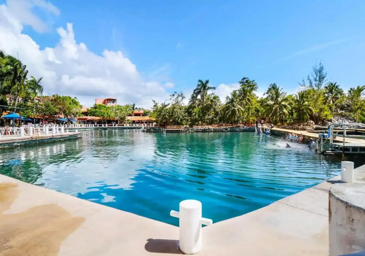 公寓 Relax, With Our Beautiful Gardens, Large Pool And Just Steps From The Beach And Lagoon 普托阿范特拉斯
